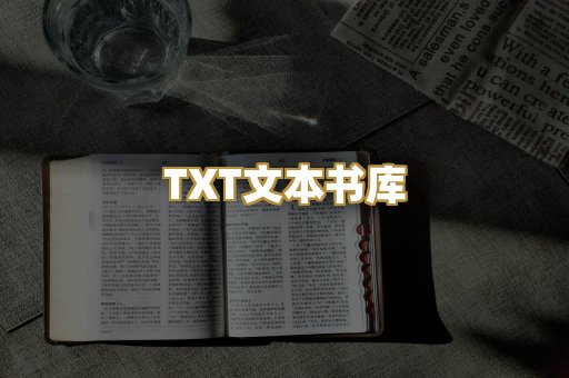 TXT文本书库
